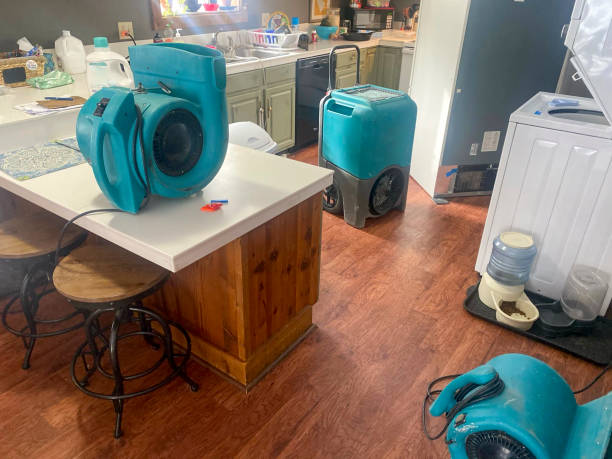 Best Commercial water damage restoration  in Spring, TX