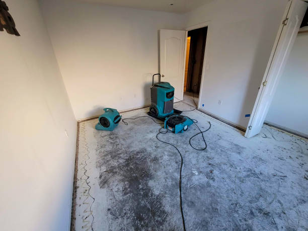 Best Commercial water damage restoration  in Spring, TX