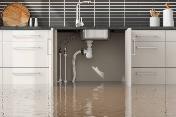 Best Residential water damage restoration  in Spring, TX