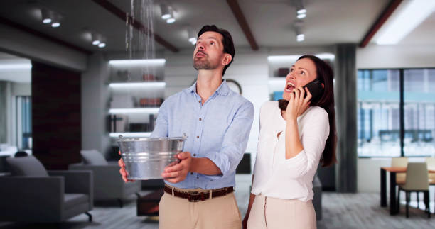 Best Ceiling water damage repair  in Spring, TX