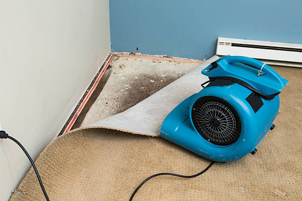Best 24/7 water damage repair  in Spring, TX